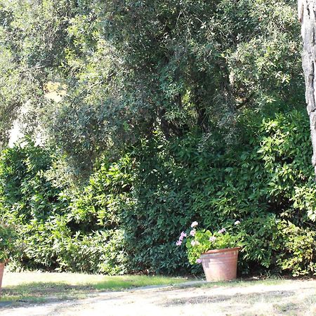 Villetta La Pineta Latignano Kültér fotó